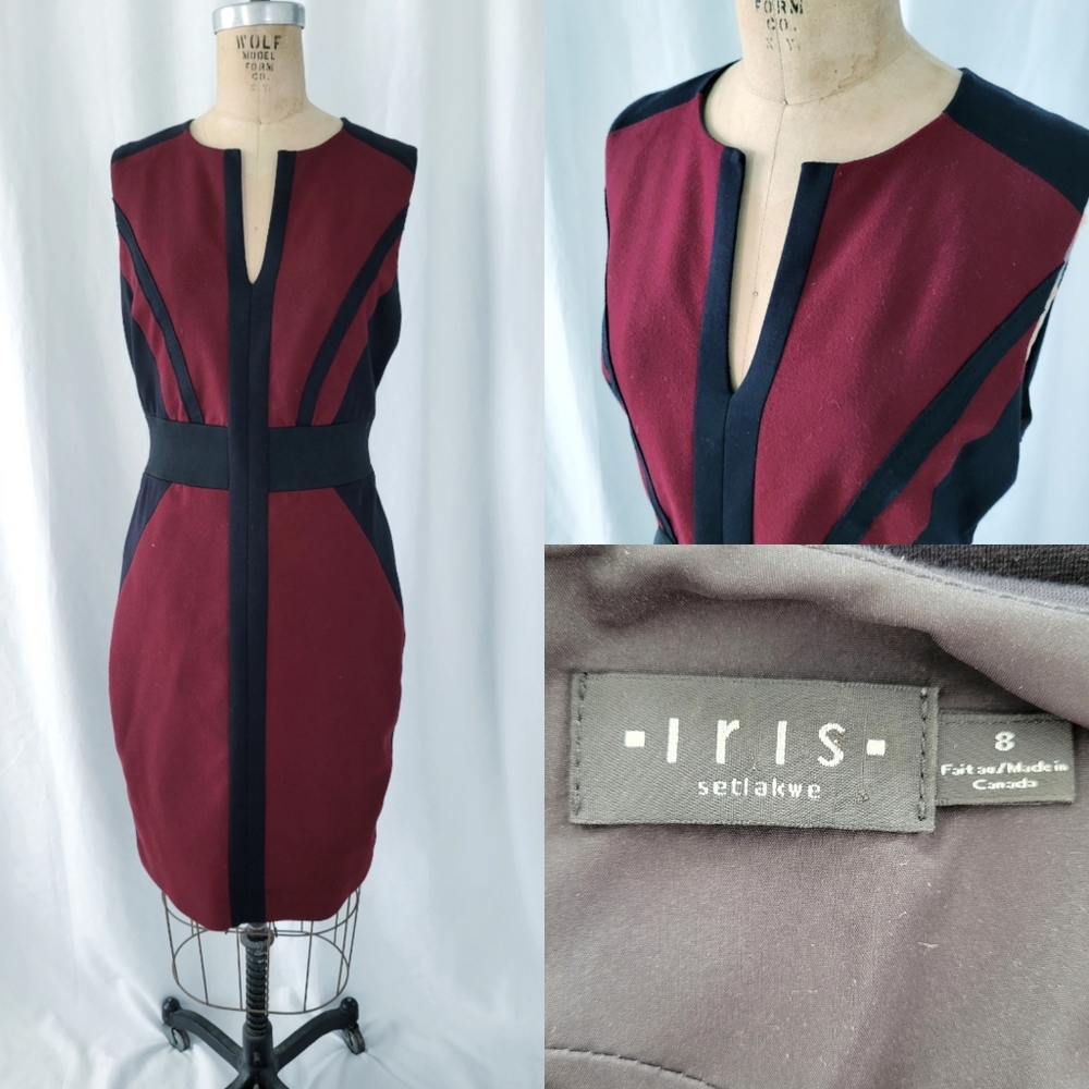 Iris Setlawke Burgundy and Black Dress